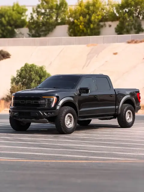 Ford F