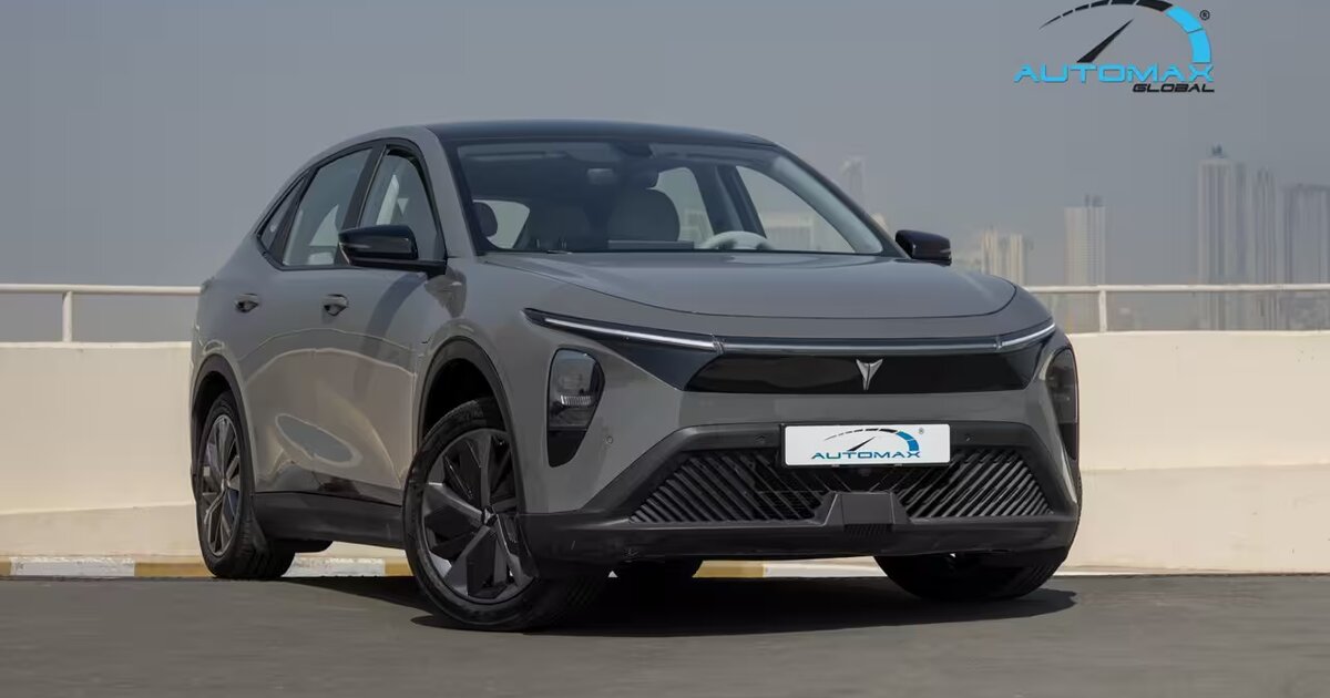 Ls Auto LEV 01