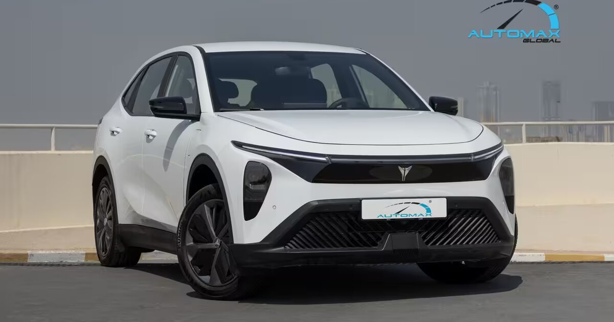 Ls Auto LEV 01