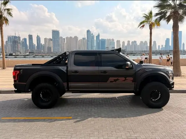 Ford F 150 FX4 PLATINUM in