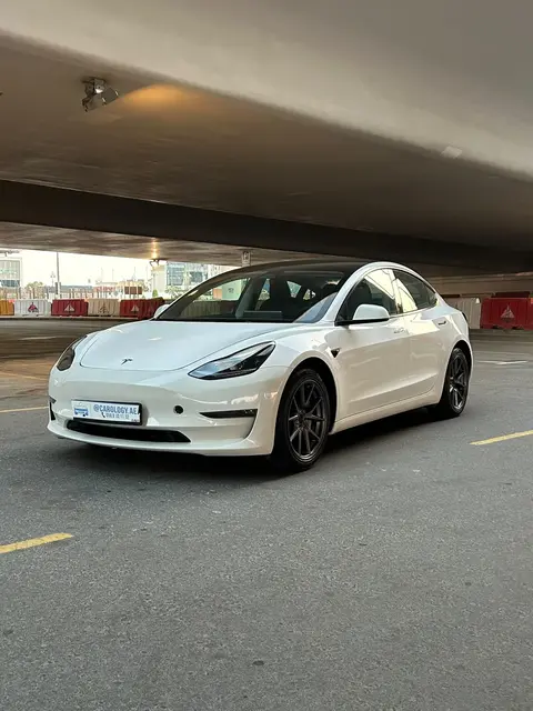 Tesla Model