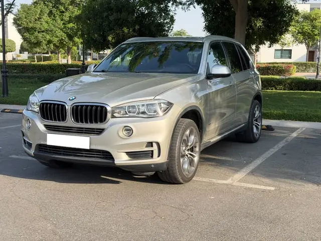 BMW X5 XDRIVE35I Dominator